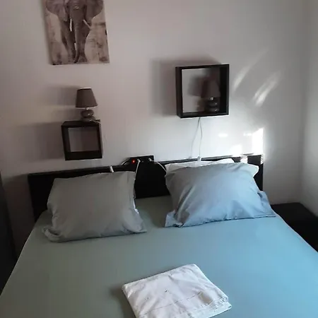 Gatos Pinar de Campoverde